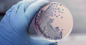 training toegepaste microbiologie