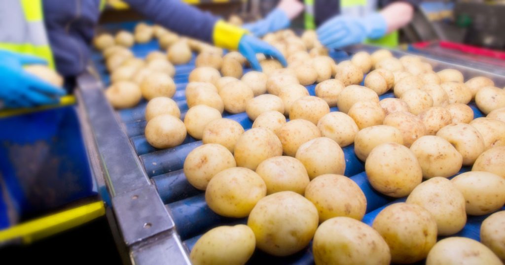 AGF bedrijven kampen met tekort aan kwaliteitsmanagers