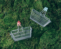 Nieuwsupdate: Albert Heijn stelt strengere eisen aan CO₂-inzichten en klimaatdoelen